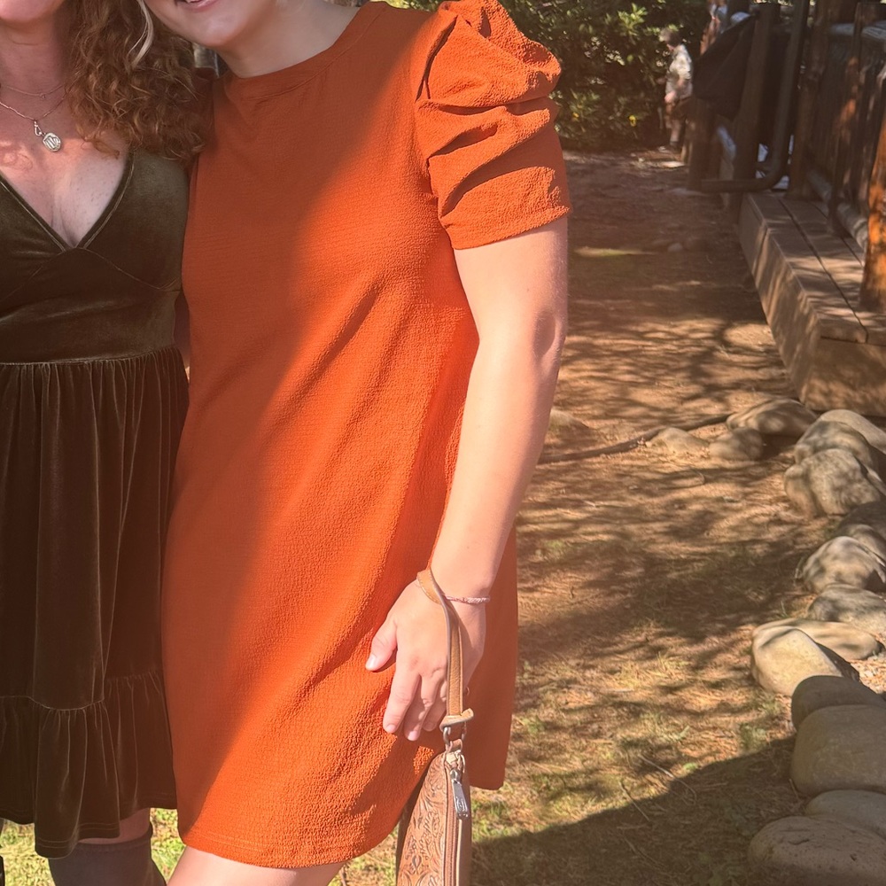 Shein size small- Fall wedding dress